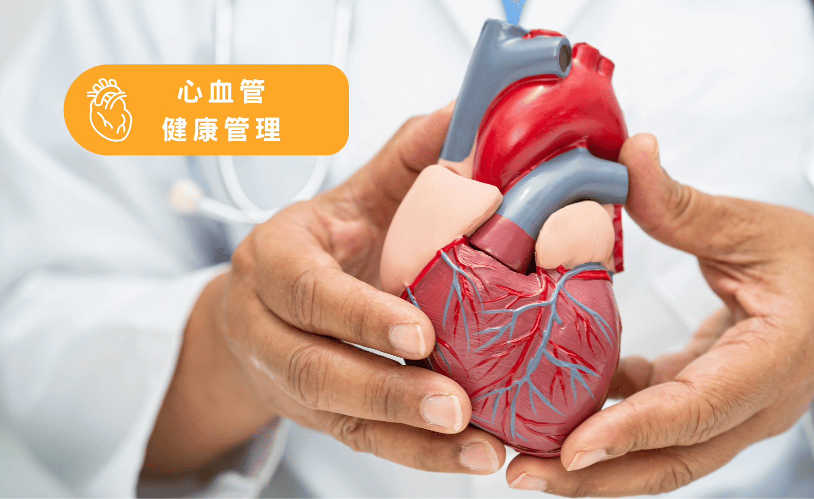 心血管健康管理